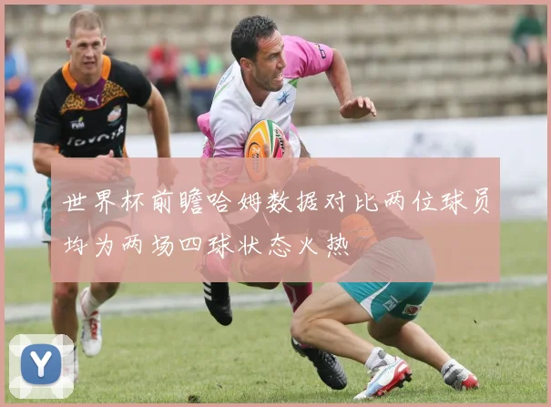 世界杯前瞻哈姆数据对比两位球员均为两场四球状态火热
